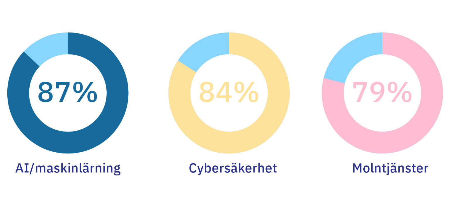 kompetenbrist - it-chefer.png